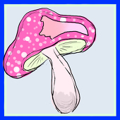 ふぁもっしゅ