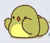 小怪物Bom