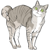 たむ