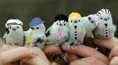 あこ