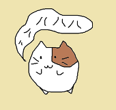 猫のまこ