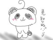 見知らぬパンダ
