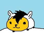 カピ