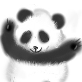 佳月