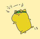ぽんかんヌ