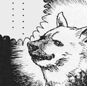 くろれきし