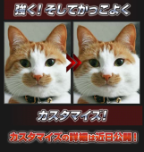 海苔光