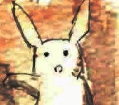 ボン太