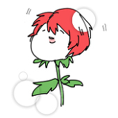 白子鳩