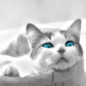 ユリクシ