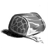 切肉君