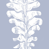 3l