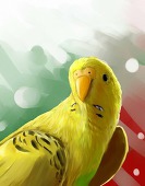 どどめ