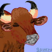 gaurus