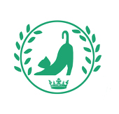 电击南橘子