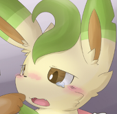 いためし