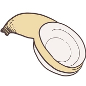 oreko