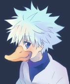 zolducks