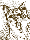ofujiくん