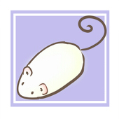 茶珈