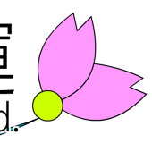 みずあおい