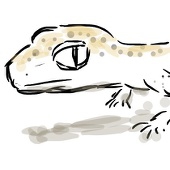 あんころ