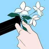 篠