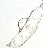 まめ