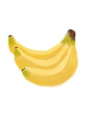 bnn