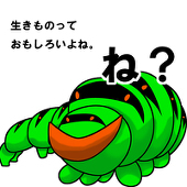 生きものあーと