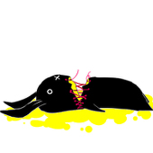 きたちゅう