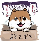 ぽめっと