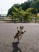 ねむねむ