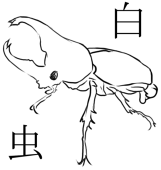 shiromushi