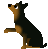 カケル
