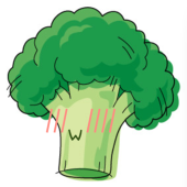 花菜酱