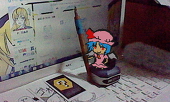 ぴーてんたぬき