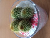マロマロン