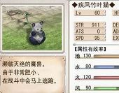 疾风竹叶猫
