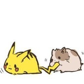 じゃこ