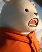木月下的PP