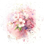 江城桜子