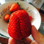纸蝎纸