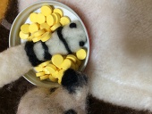 逢人