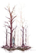 呆莔の荷花