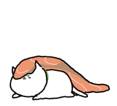 猫鮭（ねこじゃけ）