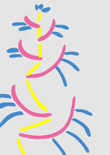 マロマスター