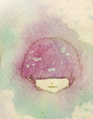 くきわかめゆっき