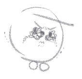 iRo