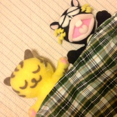 コアジサシ・ギャッピー